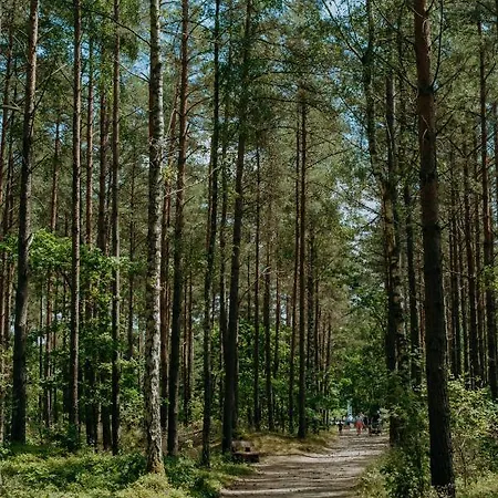 Brzozowy * Jarosławiec